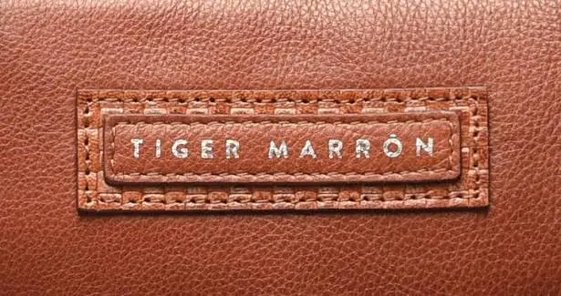 Tiger logo